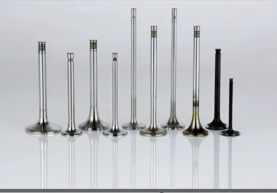 Engine Valves